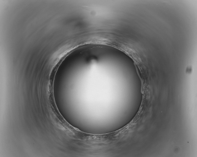 X0000093730338200710231156