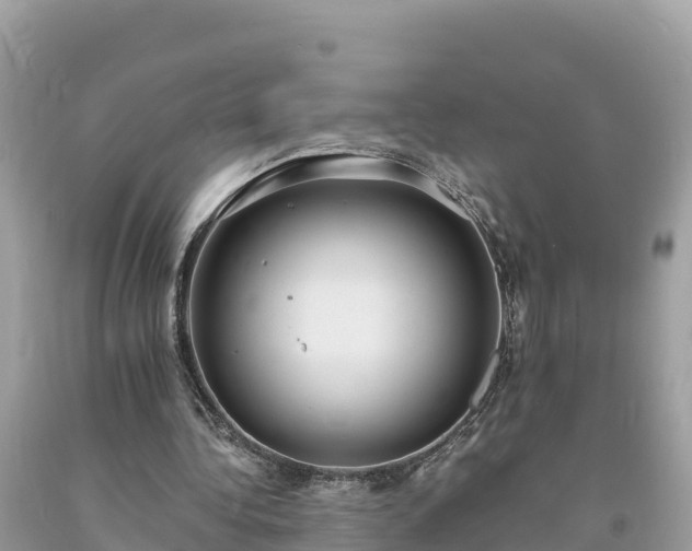 X0000093730340200710231156