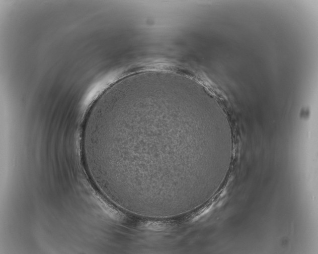 X0000093730341200710231156