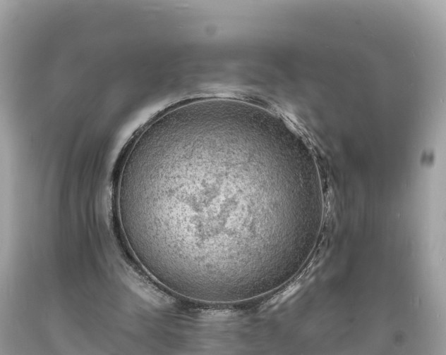 X0000093730342200710231156