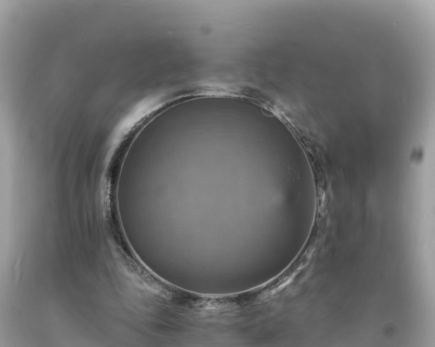 X0000093730343200710231156