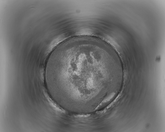 X0000093730345200710231156