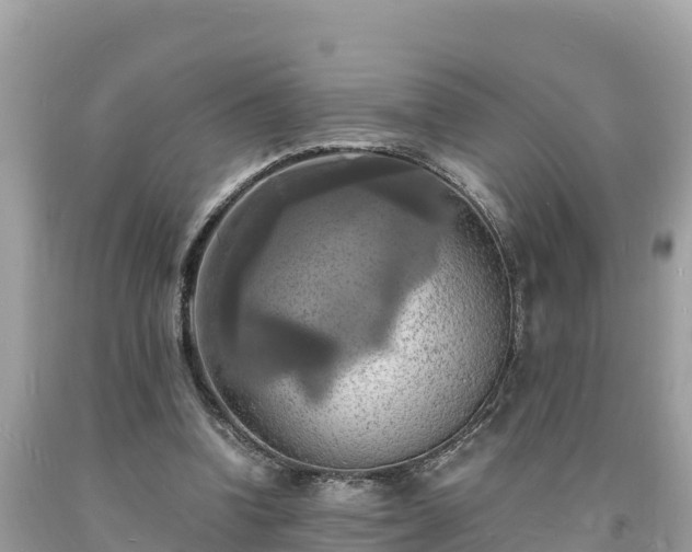 X0000093730346200710231156