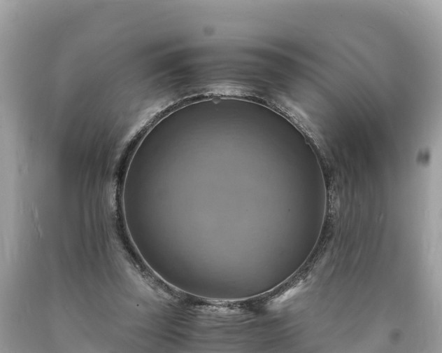 X0000093730347200710231156