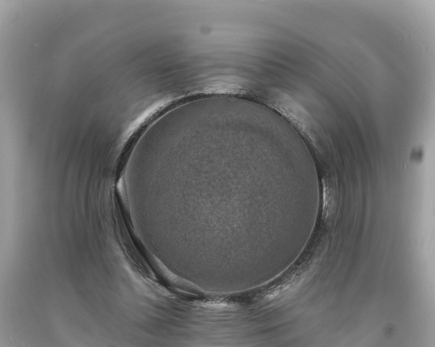 X0000093730348200710231156