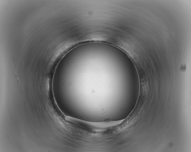 X0000093730350200710231156