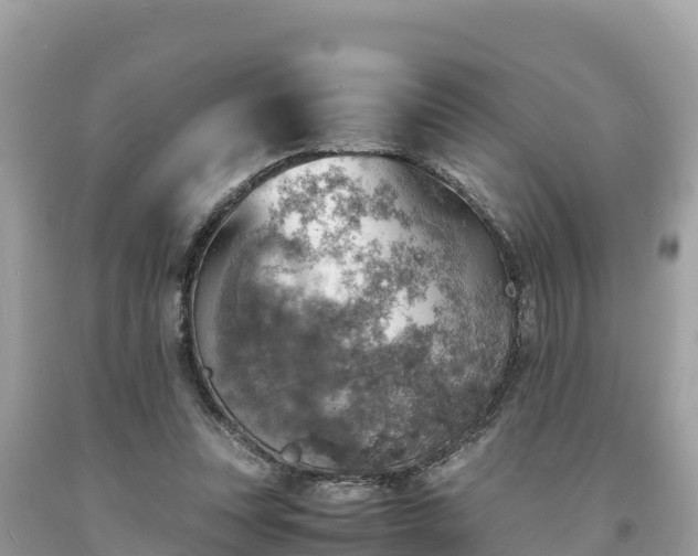 X0000093730351200710231156