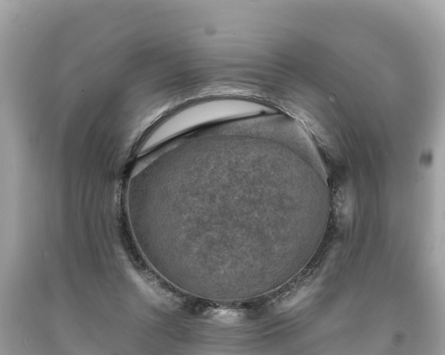 X0000093730352200710231156