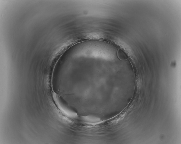 X0000093730353200710231156