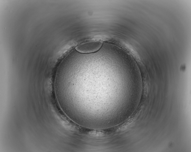 X0000093730354200710231156