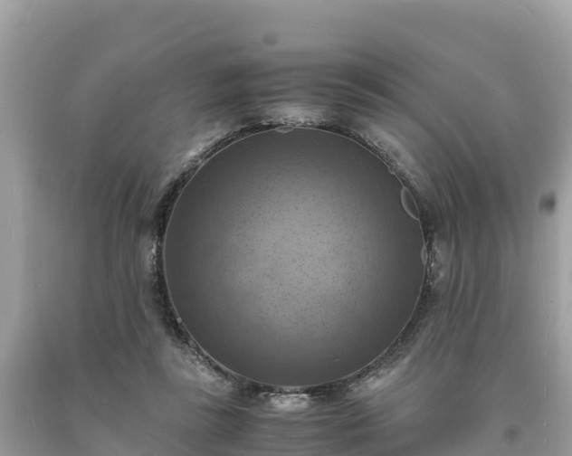 X0000093730355200710231156