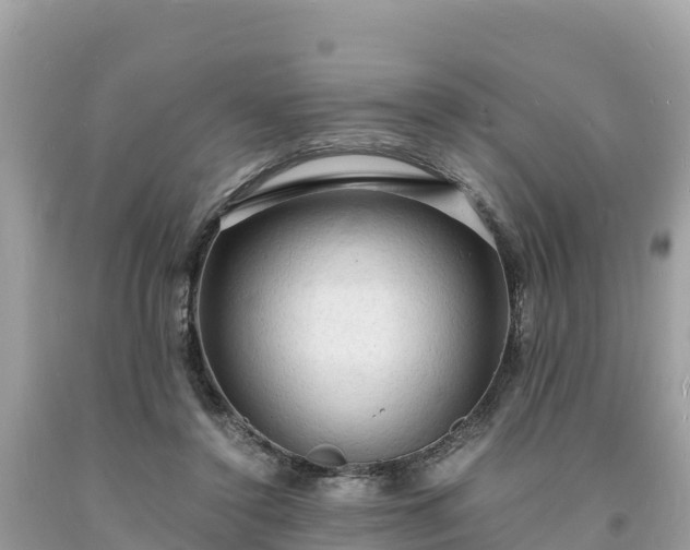 X0000093730356200710231156