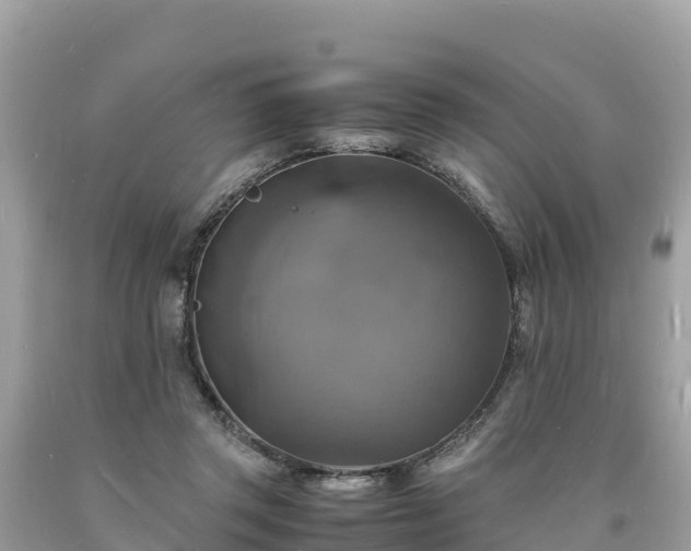 X0000093730357200710231156