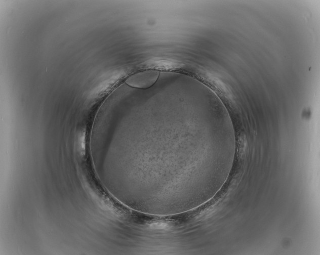 X0000093730358200710231156