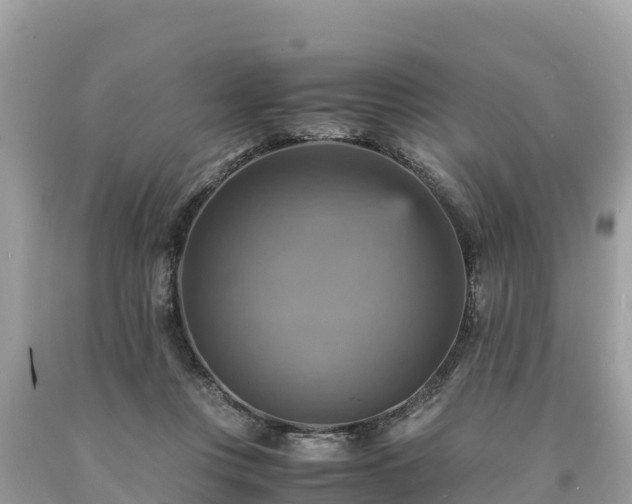 X0000093730359200710231156