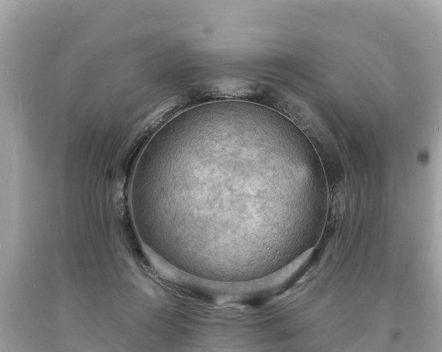 X0000093730360200710231156