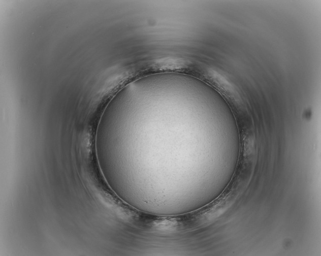 X0000093730362200710231156