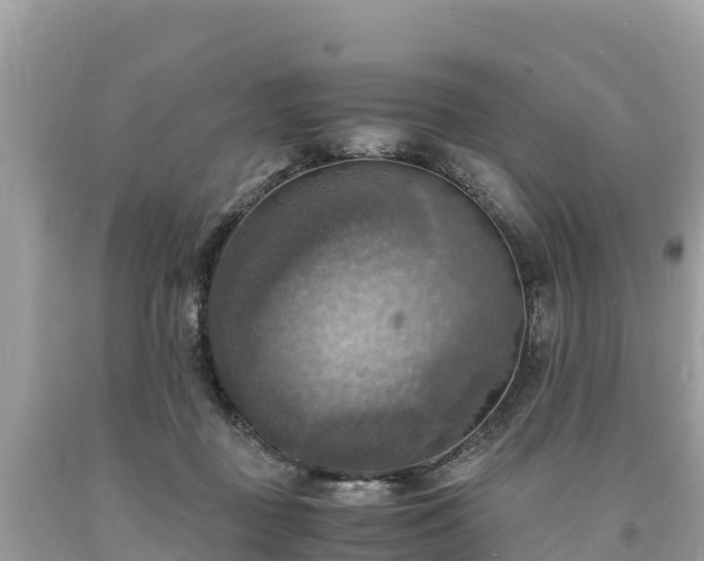 X0000093730363200710231156