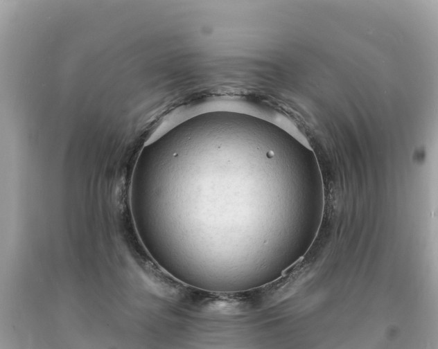 X0000093730364200710231156