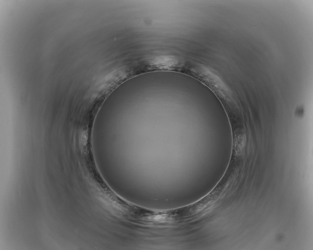 X0000093730365200710231156
