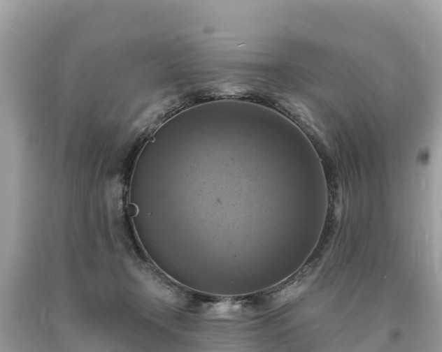 X0000093730366200710231156