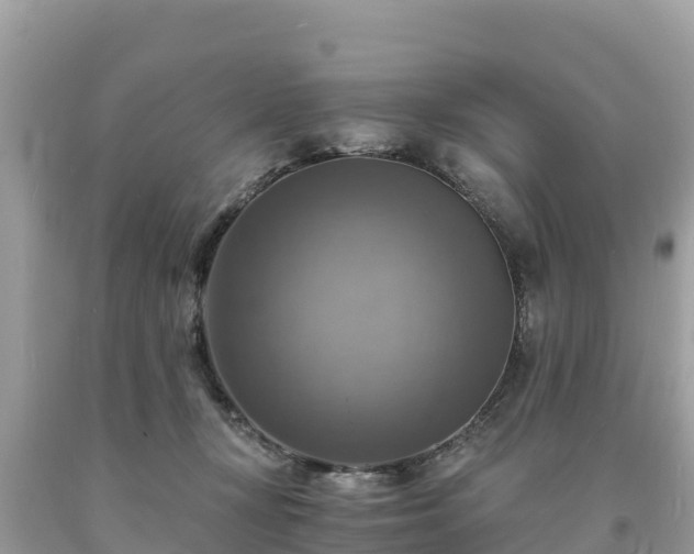 X0000093730367200710231156