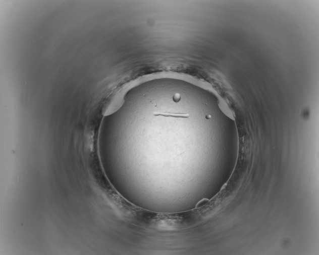X0000093730368200710231156