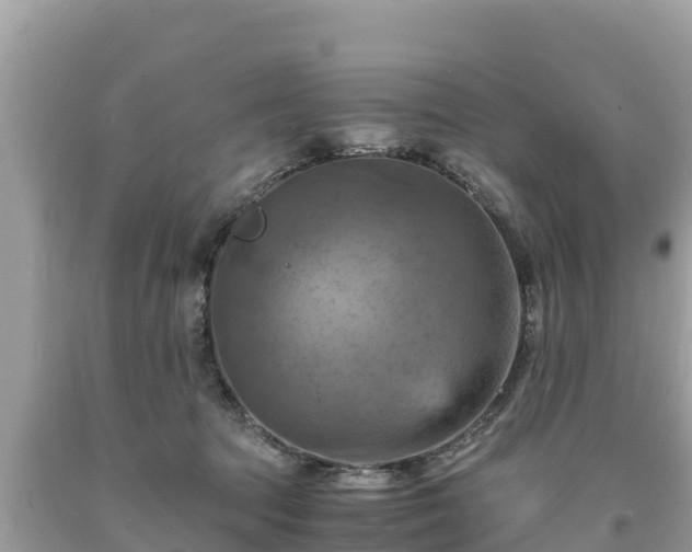 X0000093730369200710231156