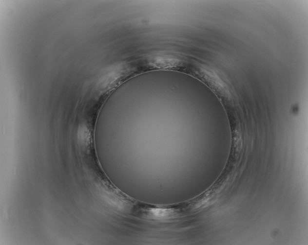 X0000093730371200710231156