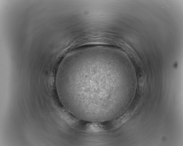 X0000093730372200710231156