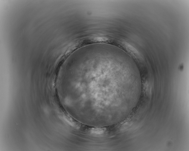X0000093730373200710231156