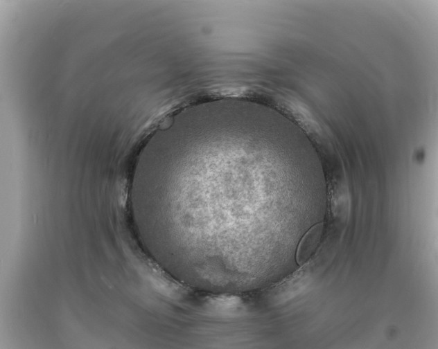 X0000093730374200710231156