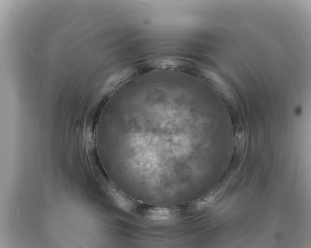 X0000093730381200710231156