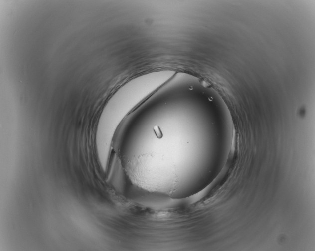 X0000093730382200710231156
