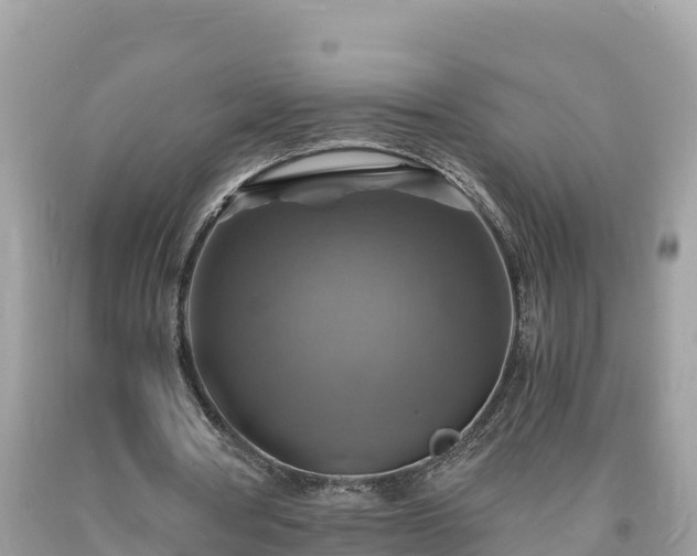 X0000093730386200710231156