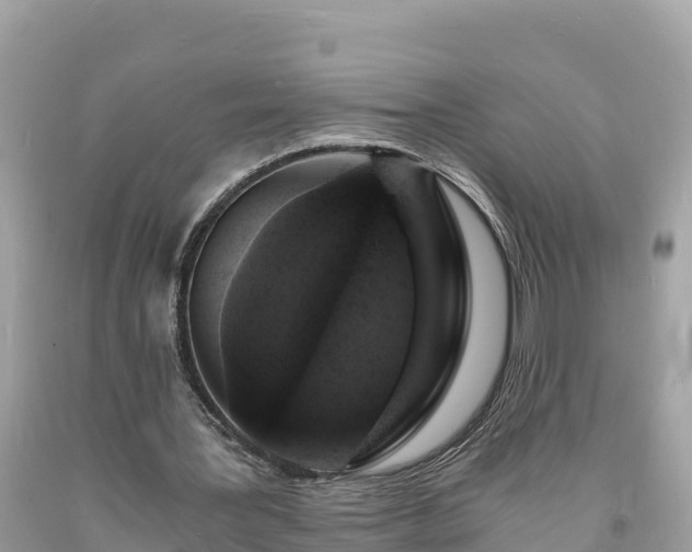 X0000093730387200710231156