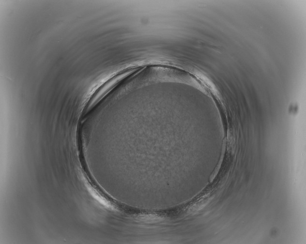 X0000093730389200710231156