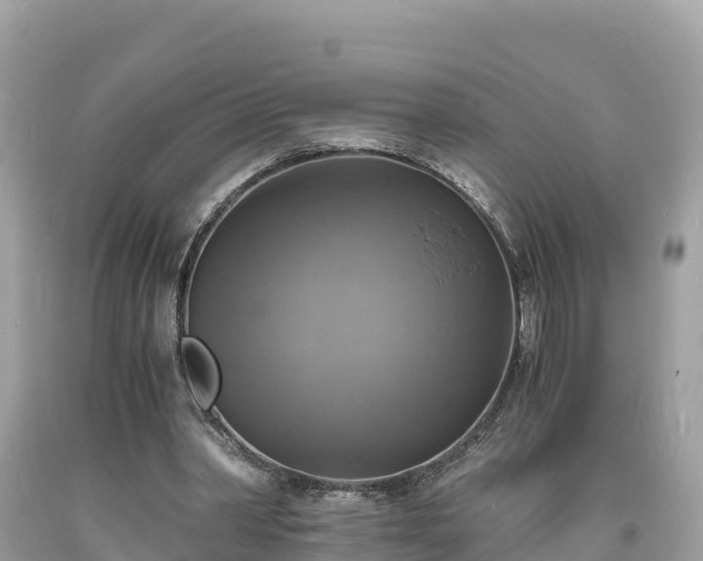 X0000093730390200710231156