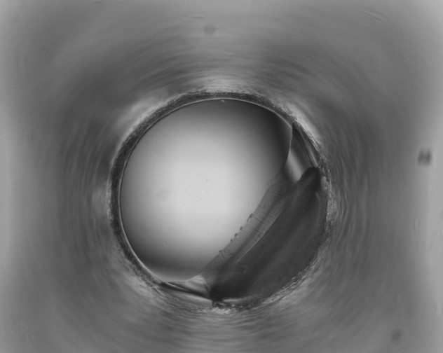 X0000093730391200710231156