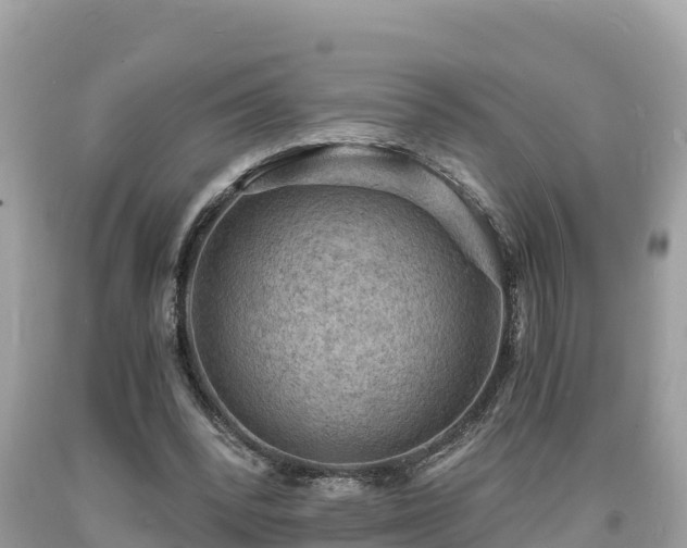 X0000093730392200710231156