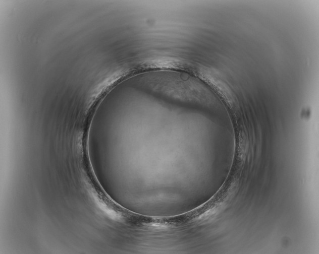 X0000093730394200710231156