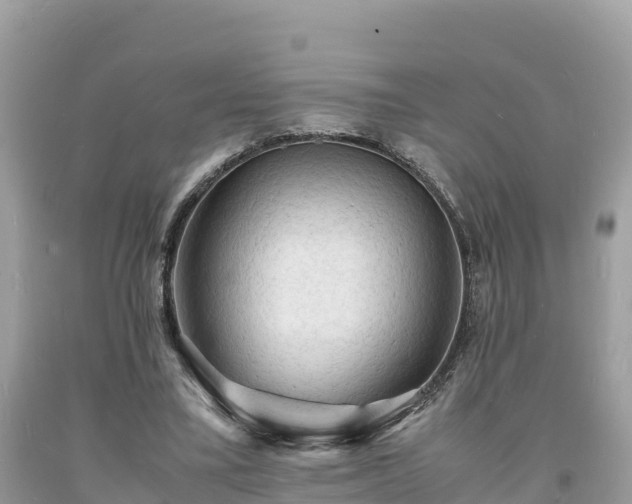 X0000093730395200710231156