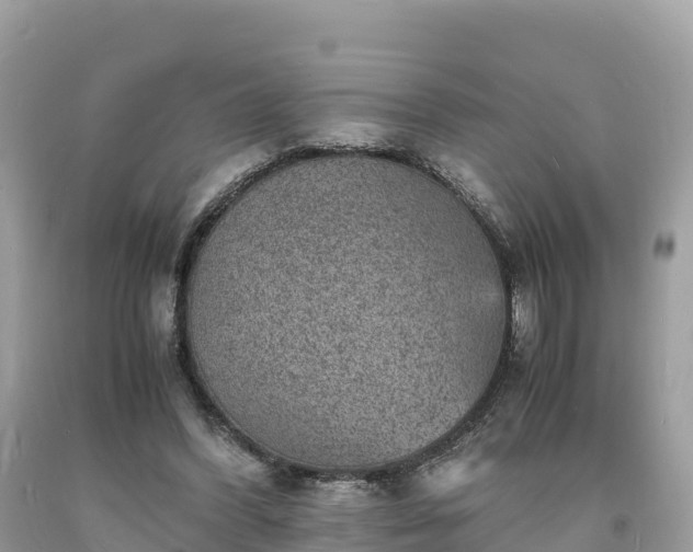 X0000093730396200710231155