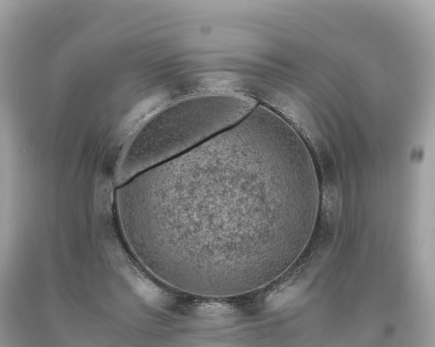 X0000093730397200710231155