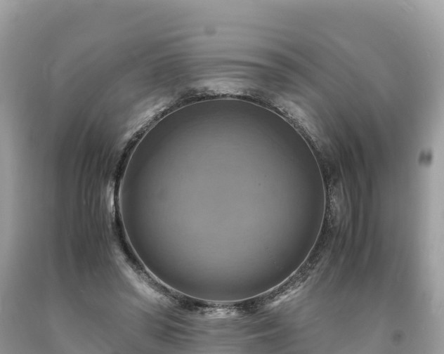 X0000093730398200710231155