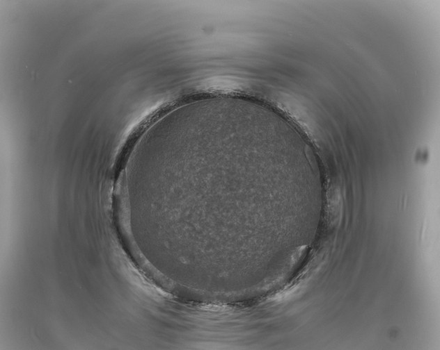 X0000093730399200710231155