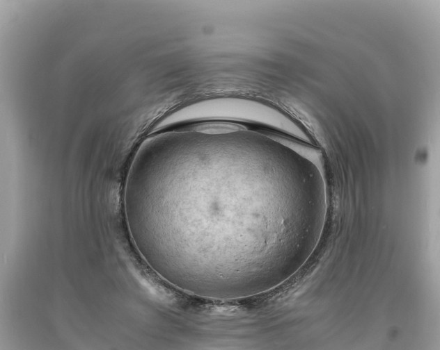 X0000093730401200710231155