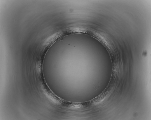 X0000093730402200710231155