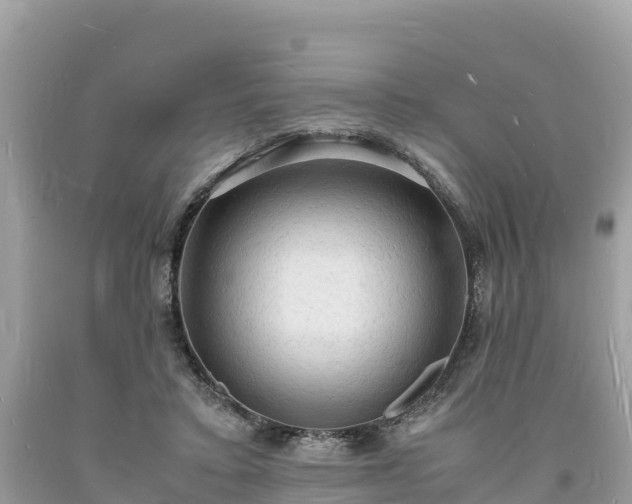 X0000093730403200710231155