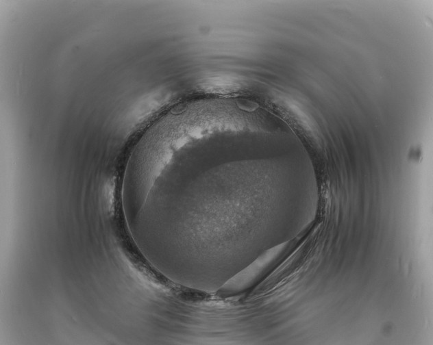 X0000093730404200710231155